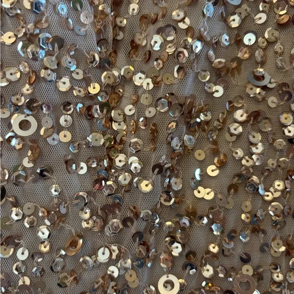 Anthropologie BHLDN Adrianna Papell Lucent Elegant Gold Sequin Evening G… - Picture 10 of 10